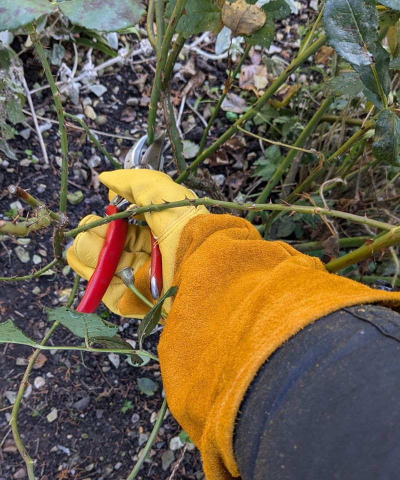 Wear Gloves Before Moving Pots Or Debris