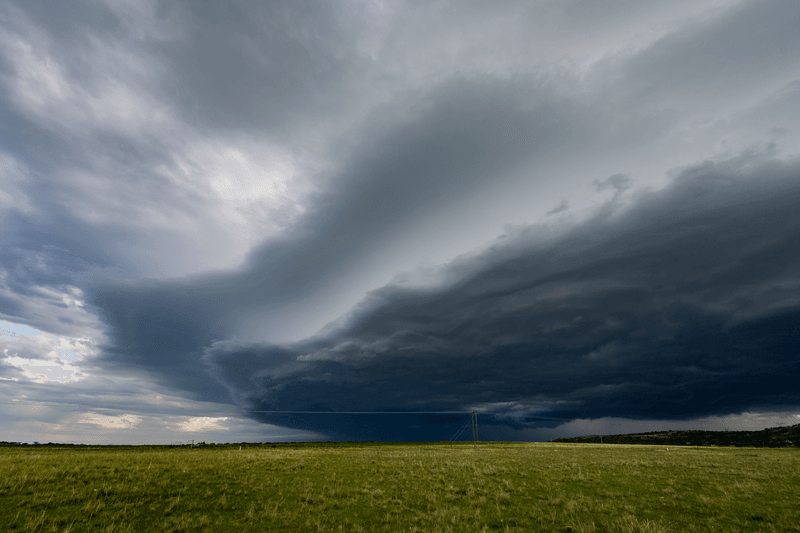 Weather Conditions That Trigger An Outbreak
