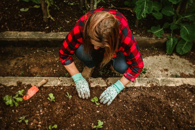 Weed Garden Beds Before Soil Gets Too Saturated