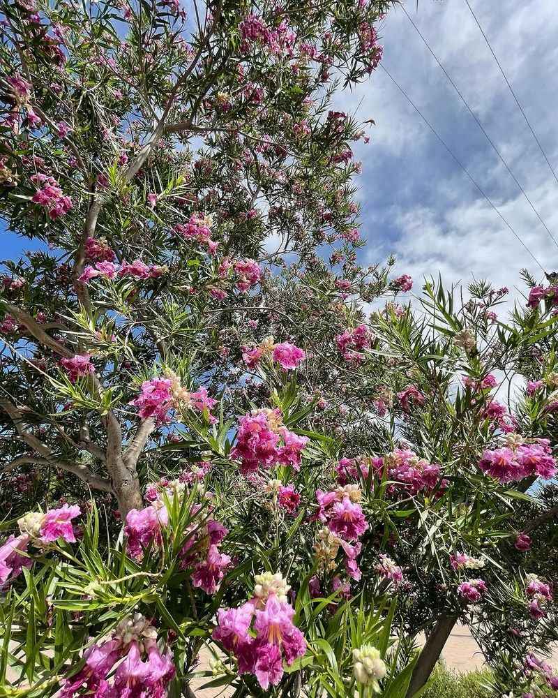 Well-Drained Soil Helps Roots Stay Healthy Well-Drained Soil Helps Roots Stay Healthy