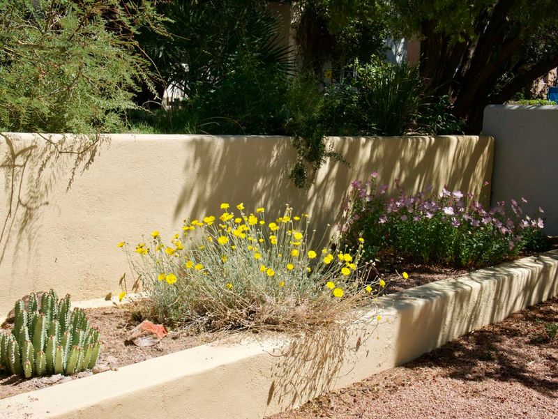 West-Facing Walls Reflect Intense Afternoon Heat