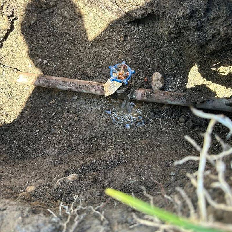 Wet Spots Can Signal An Underground Leak Wet Spots Can Signal An Underground Leak