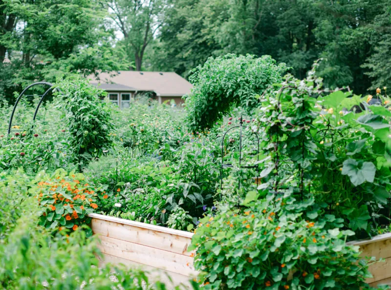 What A Traditional Pennsylvania Kitchen Garden Was