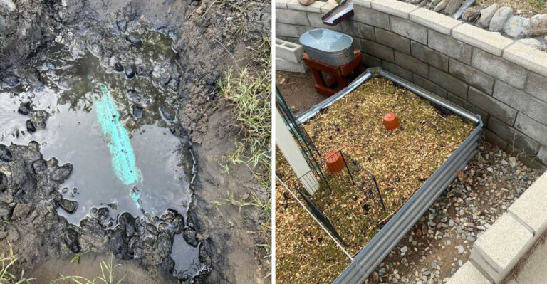 What California Greywater Rules Let You Do In The Garden And What To Watch Out For