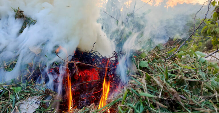 What Colorado Homeowners Can Do This Week To Cut Fire Risk Around Their Yards