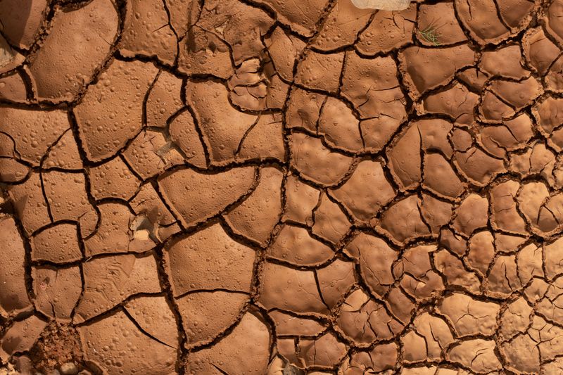 What Compacted Clay Soil Is And Why It Forms