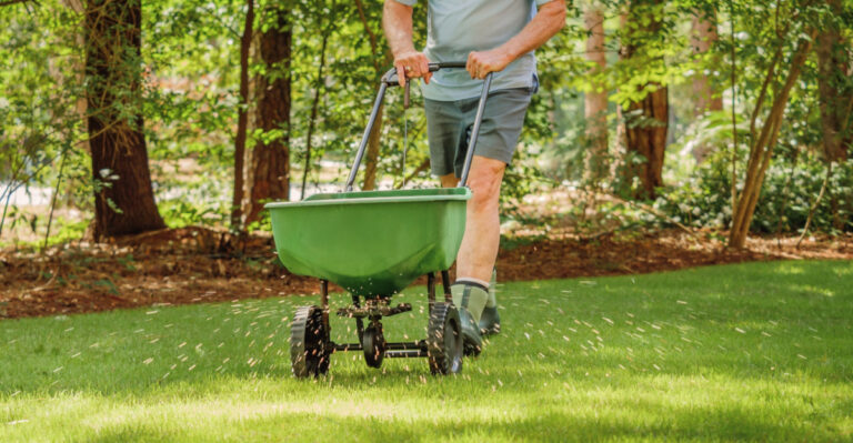 What Florida Lawns Need In July Before Rainy Season Does The Most Damage