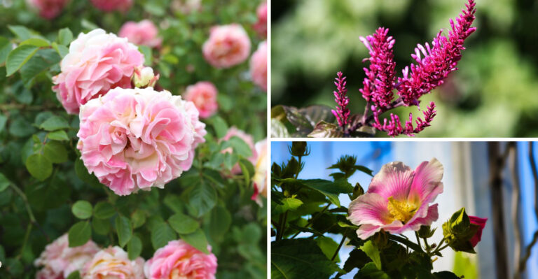 What Florida Nursery Staff Actually Recommend When No One Is Watching