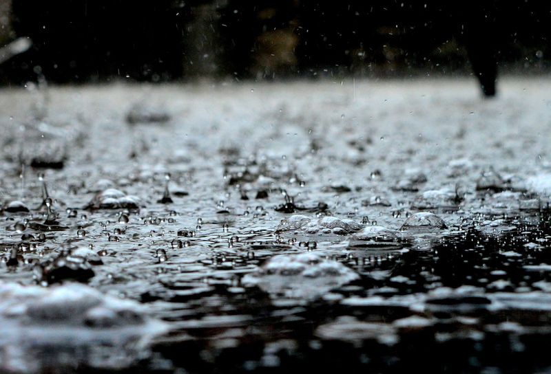What Happens To Nutrients During Heavy Rain What Happens To Nutrients During Heavy Rain