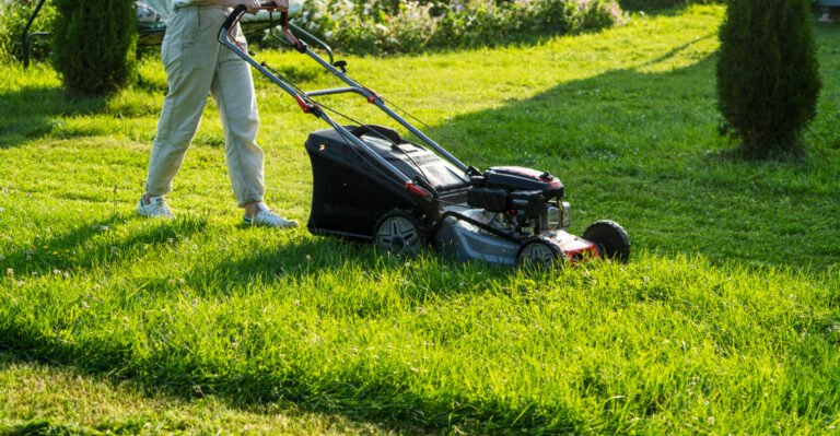 What Happens When You Mow A Virginia Lawn During Drought