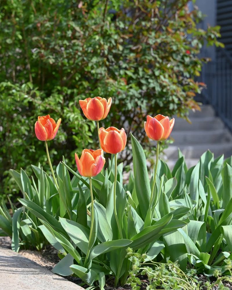 What Homeowners Can Do After The HOA Decision What Homeowners Can Do After The HOA Decision