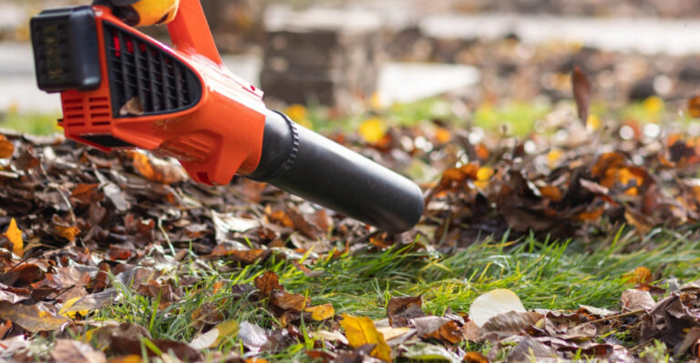 What Indiana Gardeners Can Do Now To Cut Fall Cleanup Work Significantly
