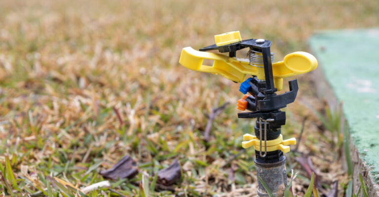 What Level 3 Drought Is Doing To Massachusetts Yards, And How To Respond