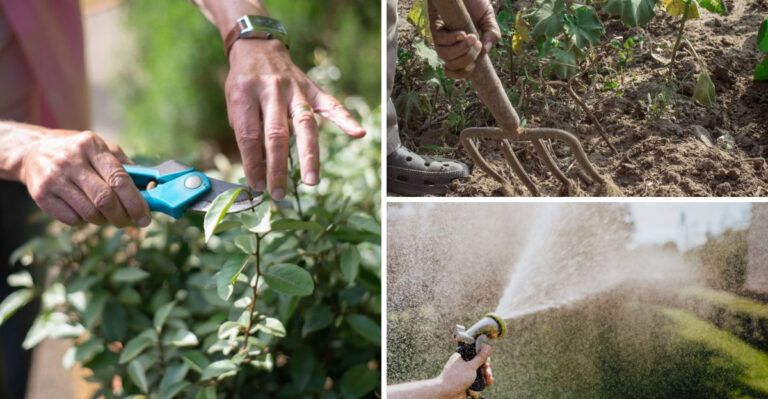 What Massachusetts Gardens Need Once The Heat Dome Finally Lifts