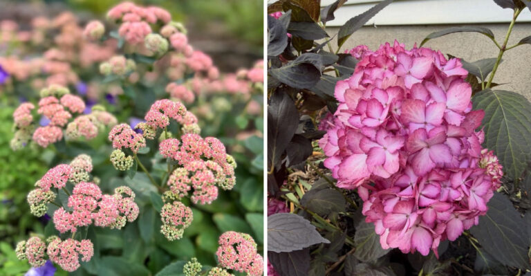 What Michigan Gardeners Can Plant Around An Air Conditioner Without Blocking Airflow