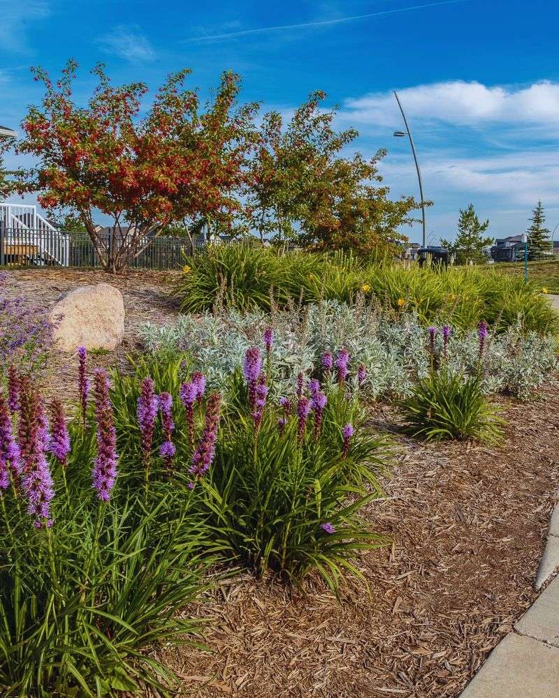 What North Carolina HOA Plant Rules Usually Cover What North Carolina HOA Plant Rules Usually Cover