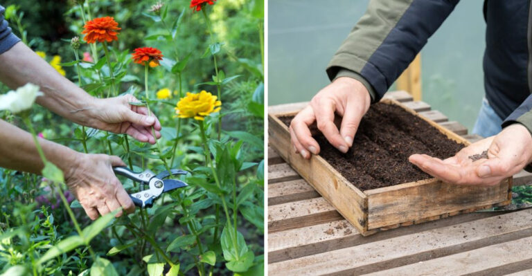 What Pittsburgh Gardeners Should Do In July That Philadelphia Homeowners Skip