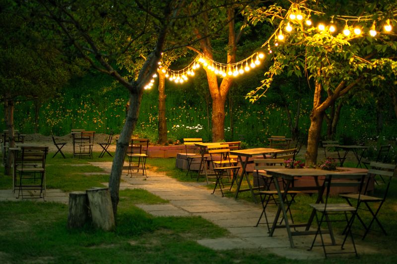 What To Consider Before Adding Lighting To Your Own Yard