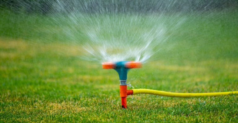What To Do For Your Fescue Lawn Before Maryland’s Summer Peaks