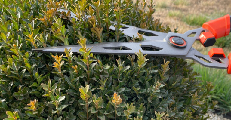 What Virginia Homeowners Should Know About Trimming Shrubs In Hot Weather