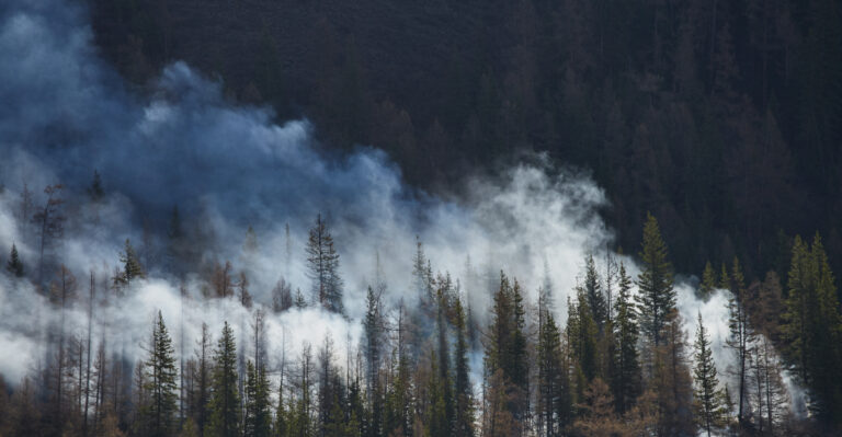 What Washington Homeowners Should Do The Moment Wildfire Smoke Reaches Their Yard