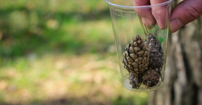 What You Need To Know About Composting Bioplastics In Vermont Backyards