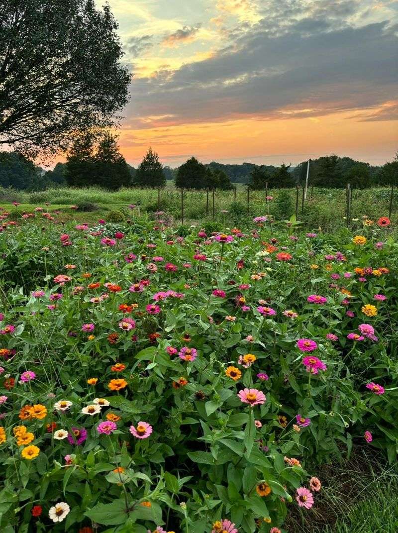 When A Plant Rule May Be Unreasonable Or Unevenly Enforced When A Plant Rule May Be Unreasonable Or Unevenly Enforced