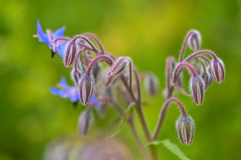 When To Expect Results In Your Wisconsin Garden When To Expect Results In Your Wisconsin Garden