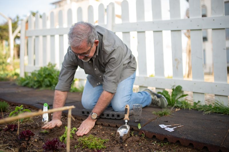 Where On Your Property To Collect Soil Samples