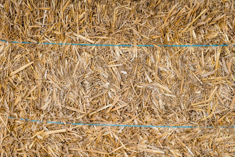 Where To Source Weed Free Straw For Your Garden