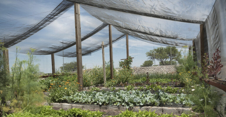 shade cloth (featured image)