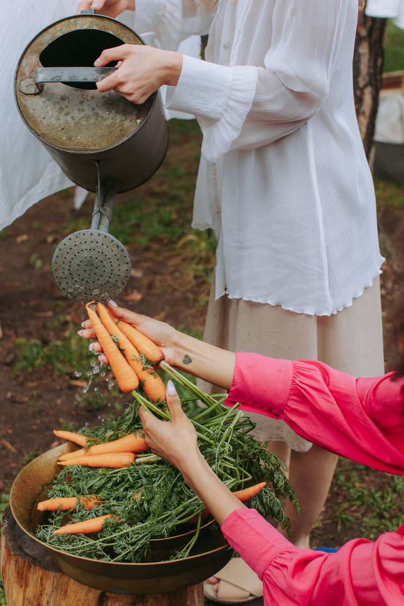 Which Vegetables Can Still Be Harvested In October