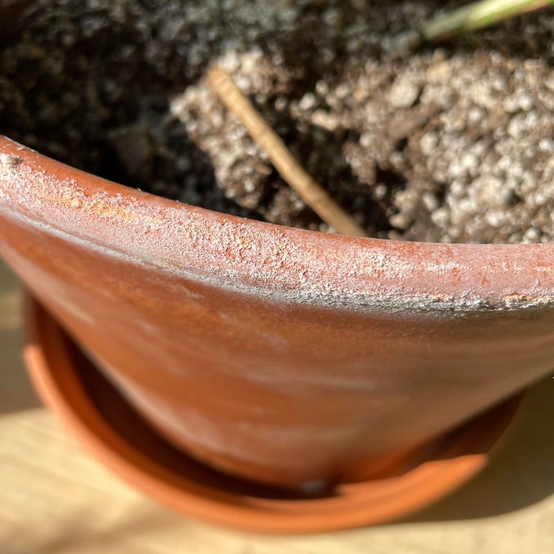White Crust On The Pot Rim White Crust On The Pot Rim