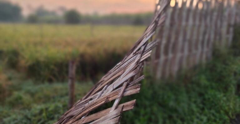 Who Covers The Cost When A Shared Fence Collapses In Missouri