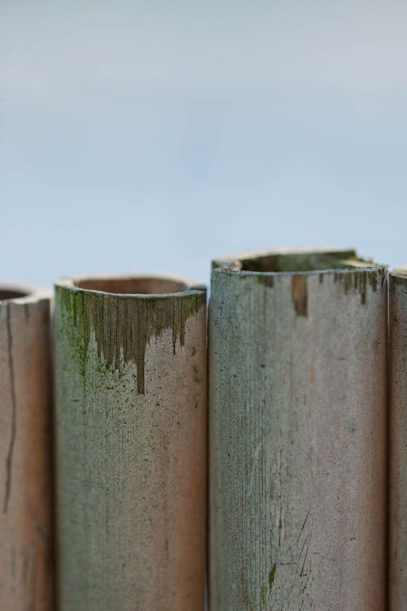 Why Bamboo Stakes Wear Out So Quickly Why Bamboo Stakes Wear Out So Quickly