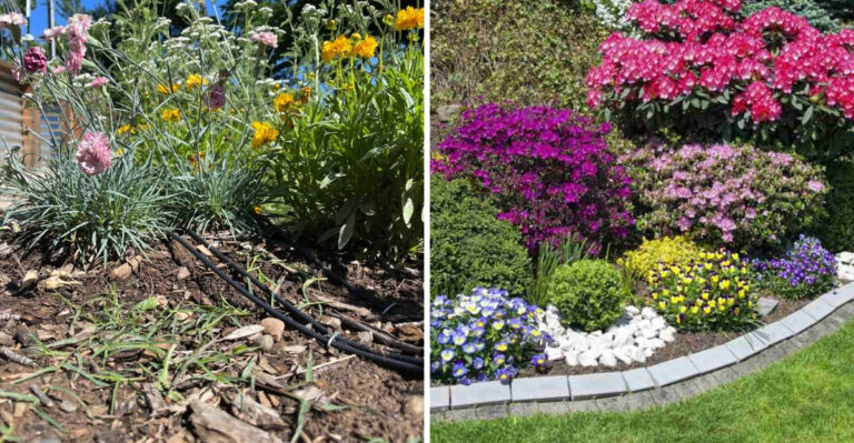 Why Bermuda Grass Spreads Into Georgia Flower Beds In Summer And How To Stop It