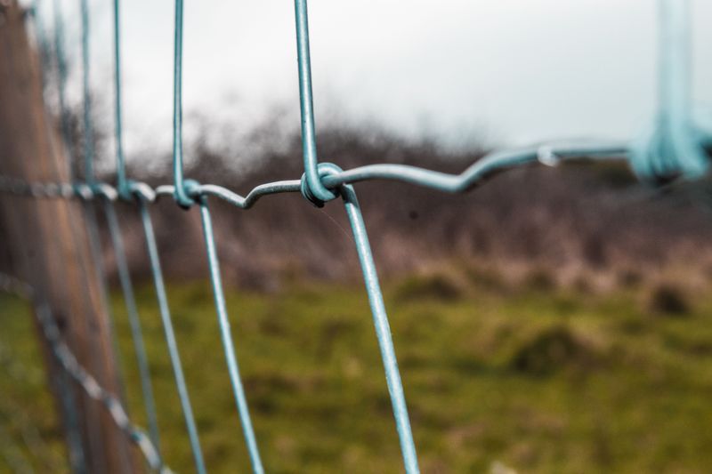 Why Boundary Line Agreements Matter In Fence Disputes Why Boundary Line Agreements Matter In Fence Disputes