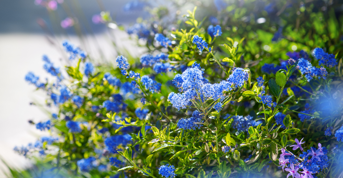 Image Credit: © Subbotina Anna / Shutterstock