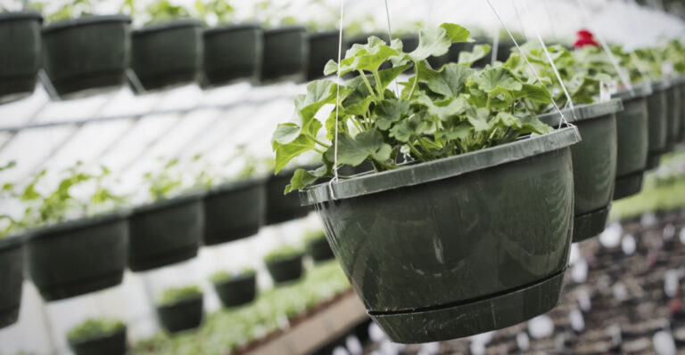Why Hanging Baskets Dry Out So Fast, And How To Keep Them Moist