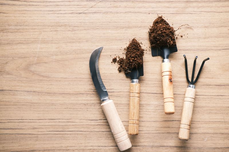 Why July Is The Critical Window For Digging Why July Is The Critical Window For Digging