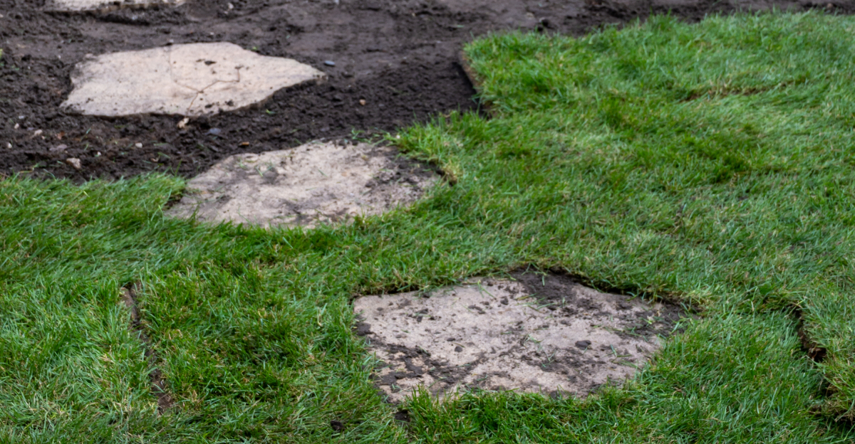 installing new sod