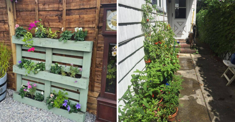 Why Michigan Alleyway Gardens Struggle When Treated Like Regular Gardens
