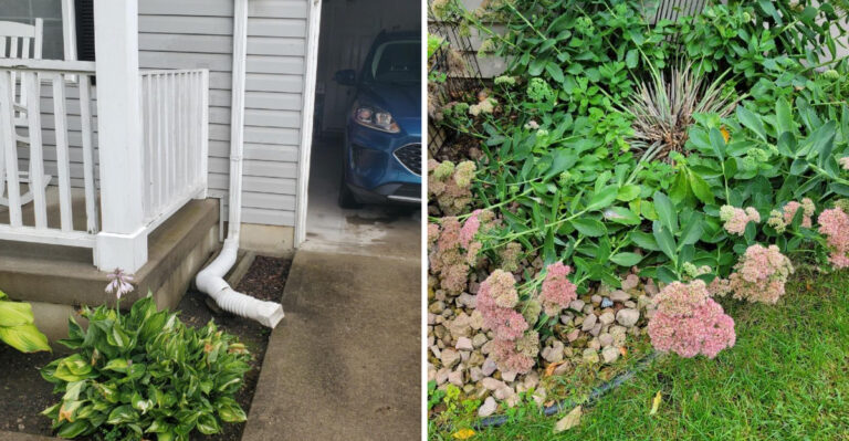 Why Michigan Gardeners Struggle To Plant Around Basement Window Wells