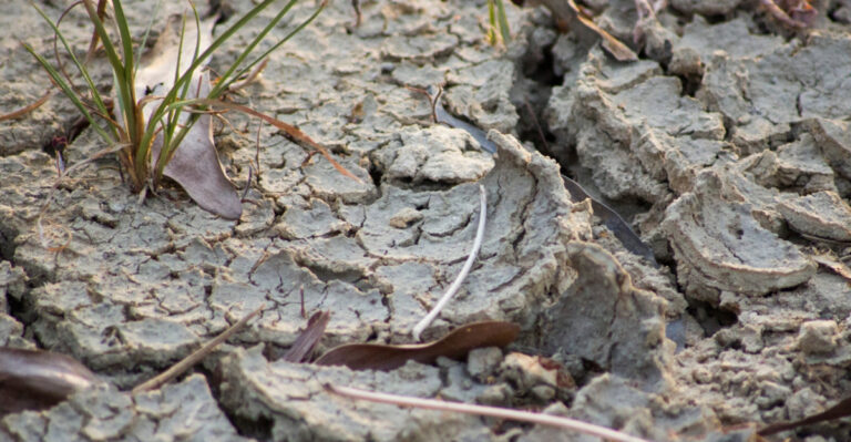 Why Michigan Is Facing Increasingly Dry Conditions This Month