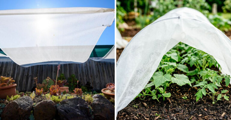 Why More Arizona Gardeners Are Switching To Shade Cloth This Week