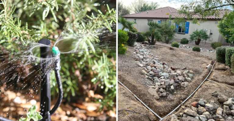 Why More Arizona Homeowners Are Switching To Smart Irrigation Controllers