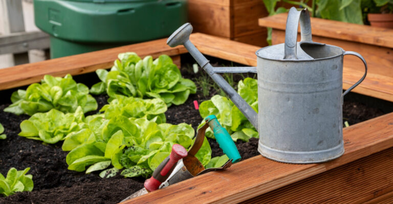 Why Ohio Raised Bed Soil Dries Out Faster In July Than Any Other Month
