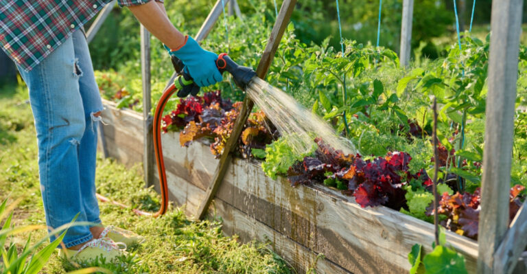 Why Ohio Raised Beds Built With Native Soil Outperform Imported Mixes Over Time