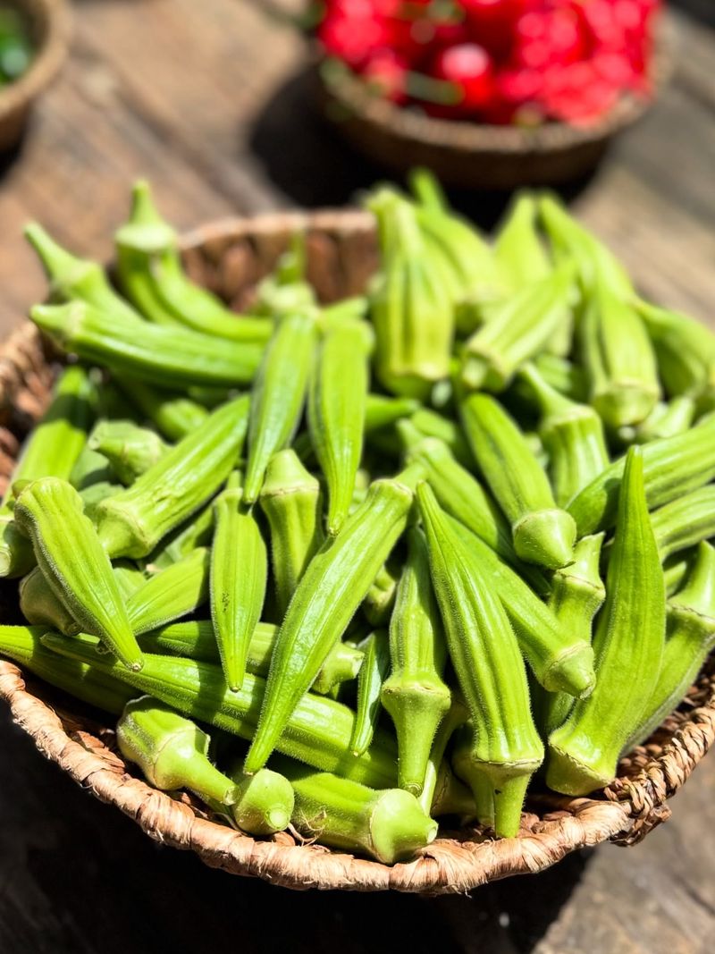 Why Okra Deserves More Respect In Texas Gardens Why Okra Deserves More Respect In Texas Gardens