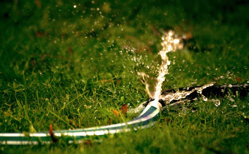 Why Pre-Storm Watering Habits Matter Why Pre-Storm Watering Habits Matter